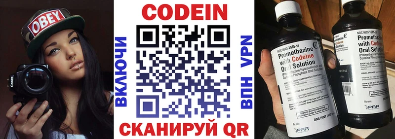 купить наркоту  darknet как зайти  Кодеин напиток Lean (лин)  Ефремов 