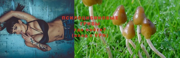 гашиш Беломорск