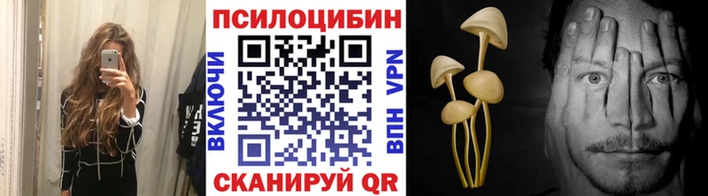 где можно купить Ефремов Галлюциногенные грибы ЛСД